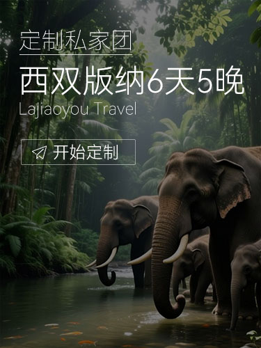 版纳